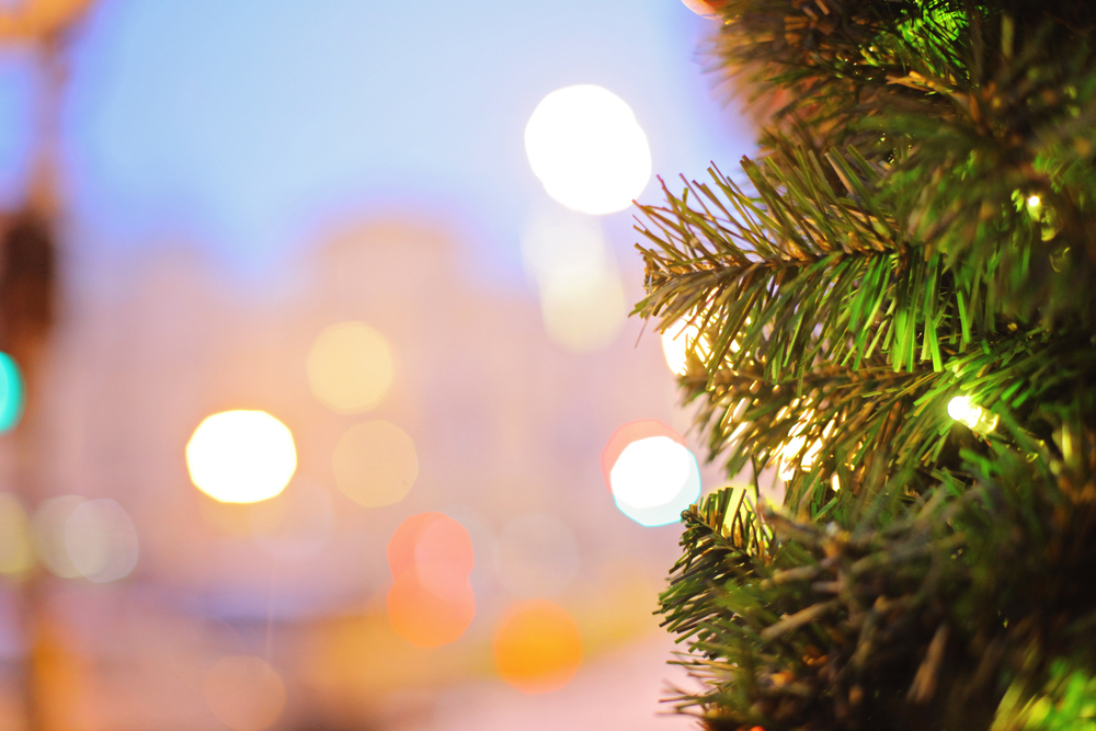 Holiday Tree Lighting