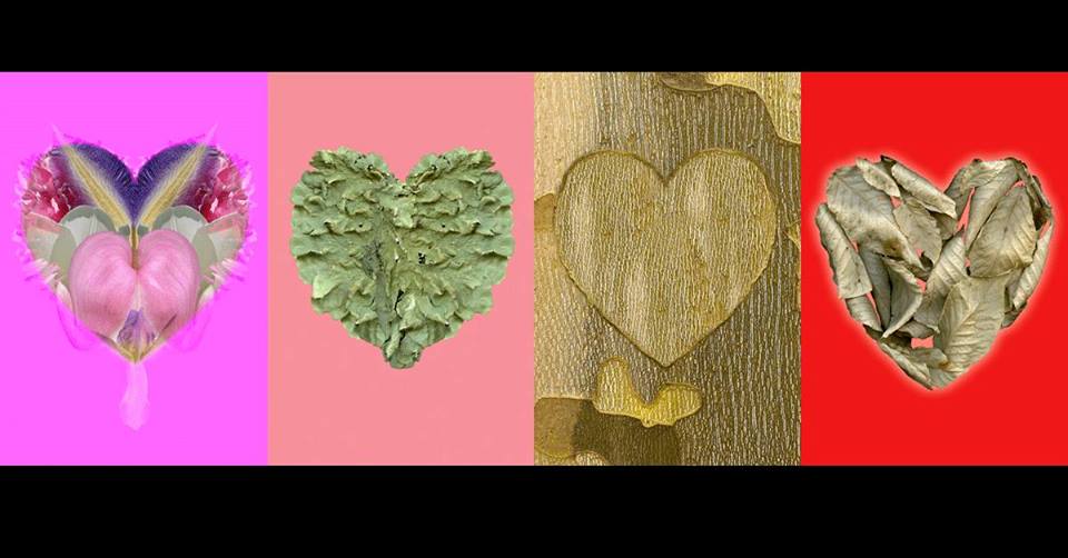 Arts Walk: Valentine's Day Shopping Crawl