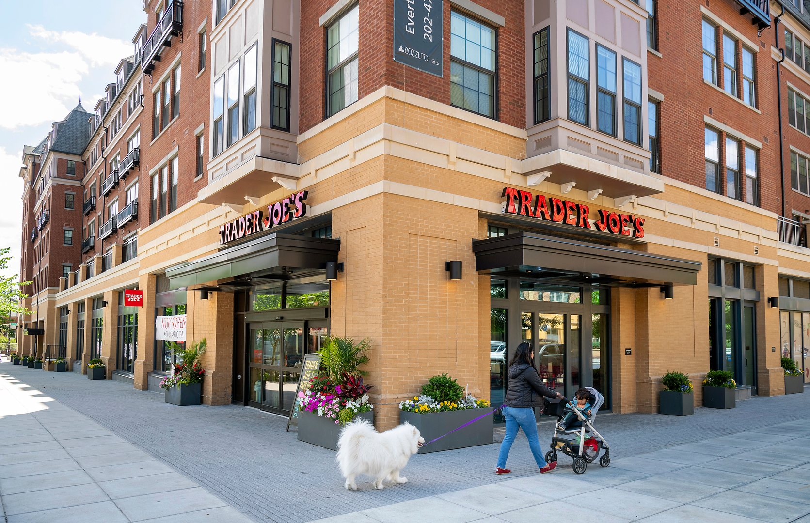 image of https://www.monroestreetmarket.com/wp-content/uploads/2026/02/MonroeSt_Neighborhood_TraderJoes_Dohler_May2025_compressed.jpg